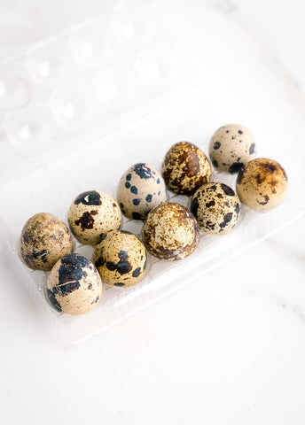 48 pack- Incubated Quail Eggs