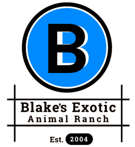 Blake's Aquatics 