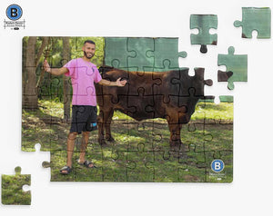 Cow Jigsaw Puzzle