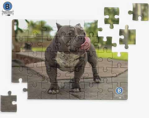 Blake's Best Friend Jigsaw Puzzle
