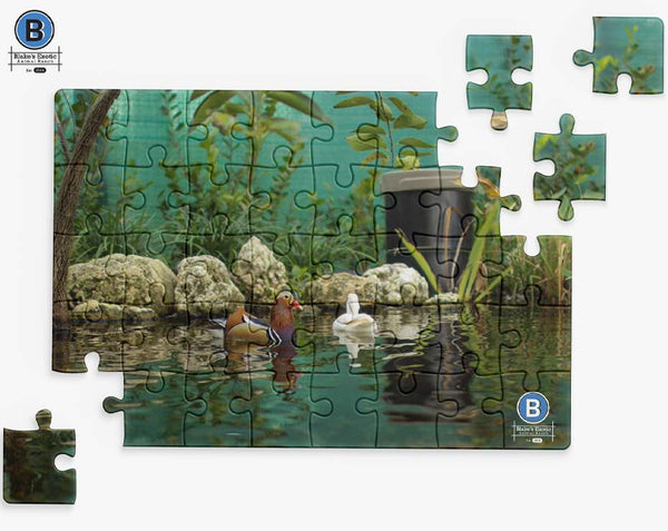 Mandarin Duck 126 Piece Small Wooden Jigsaw Puzzle