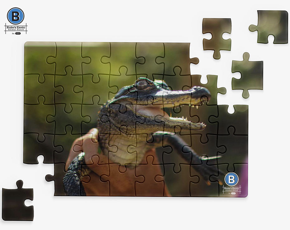 Baby Gator Jigsaw Puzzle